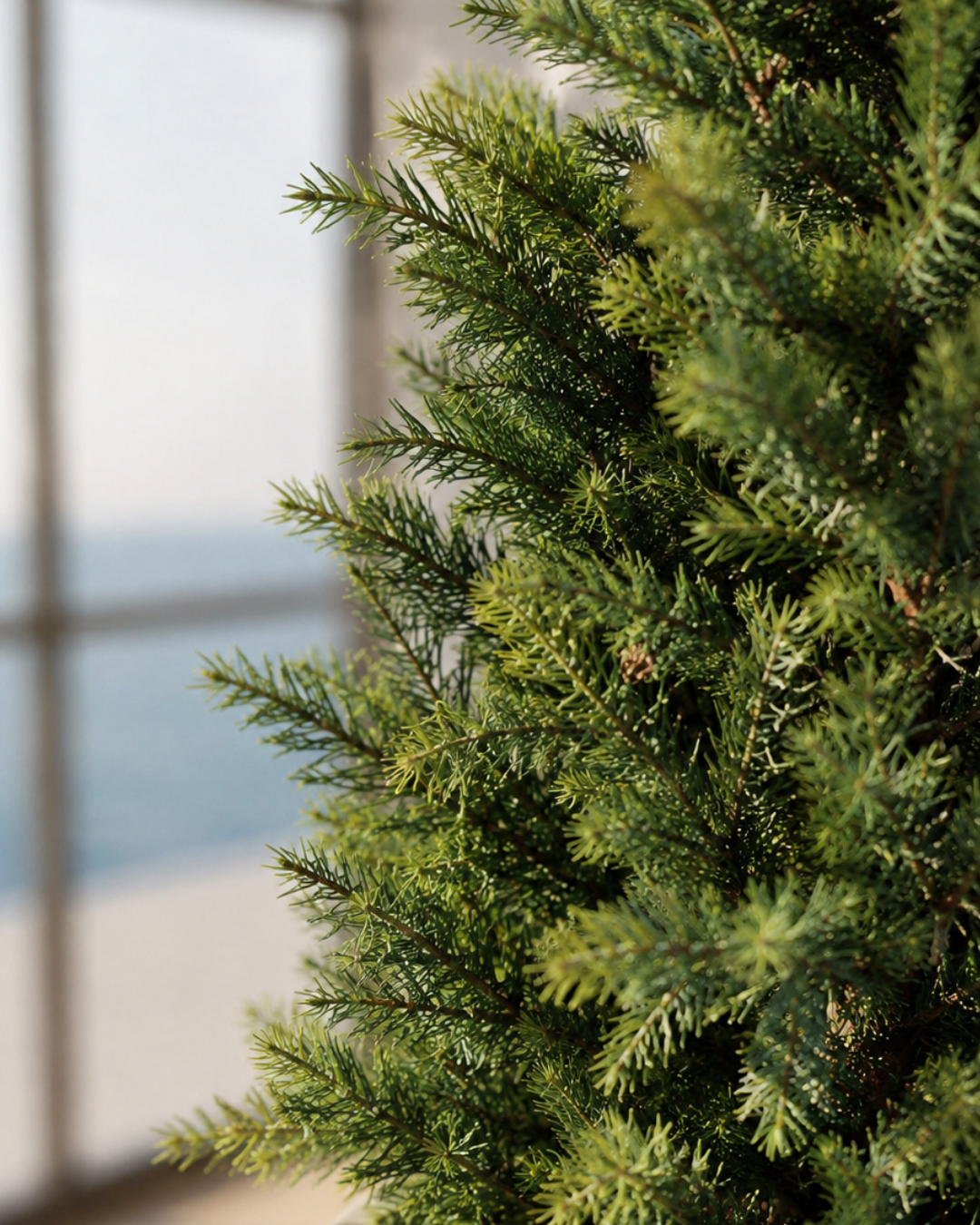 Faux Cypress