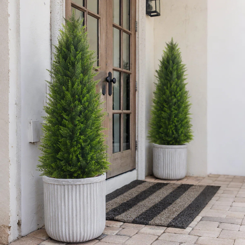 Faux Cypress