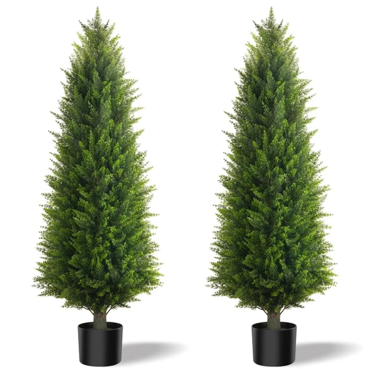 Faux Cypress