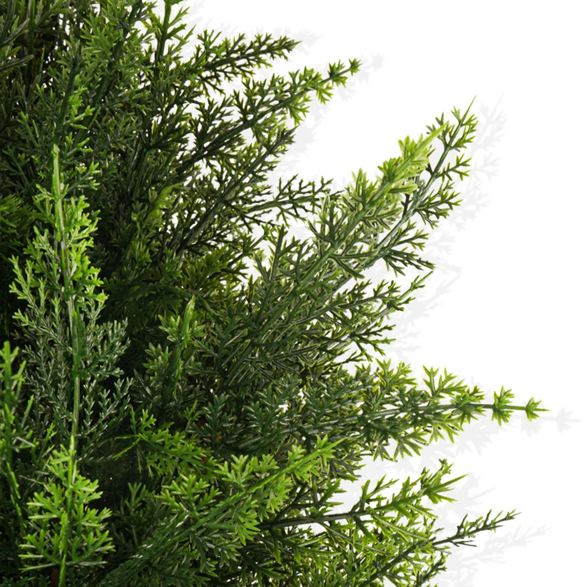Faux Cypress