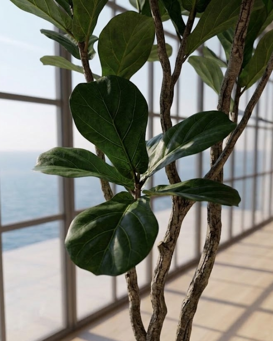 Faux Fiddle Leaf Fig