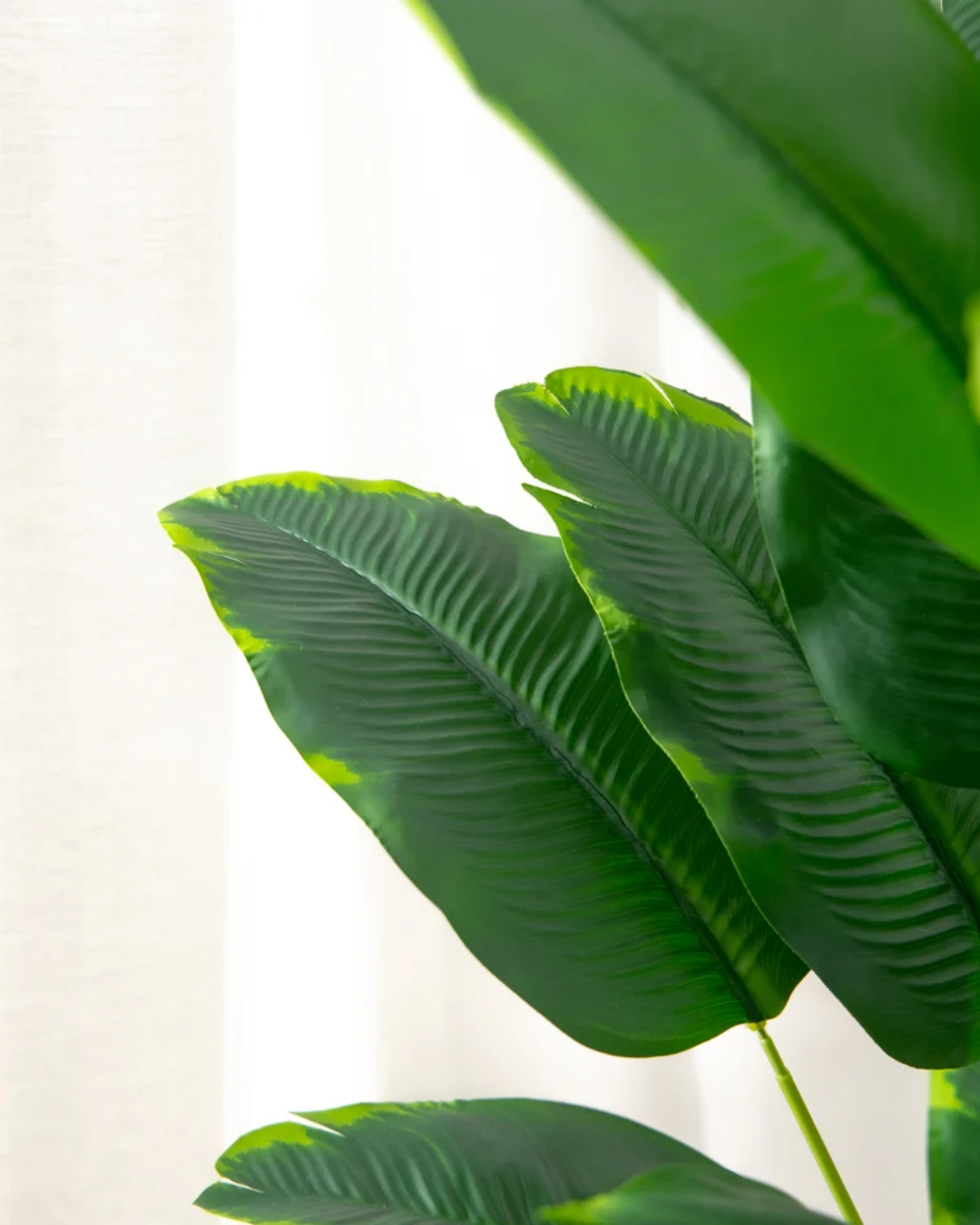 Faux Bird of Paradise