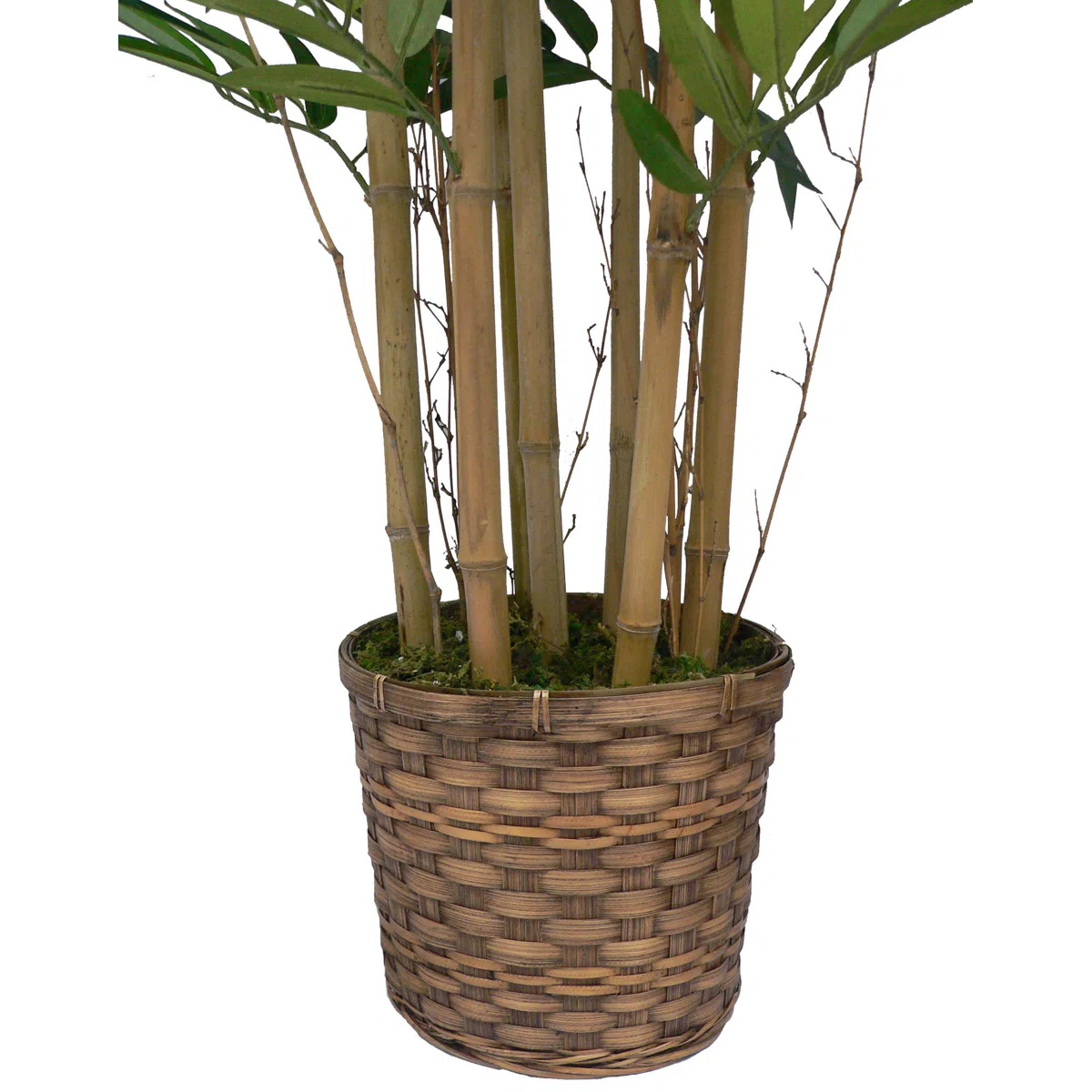 Faux Bamboo Plant