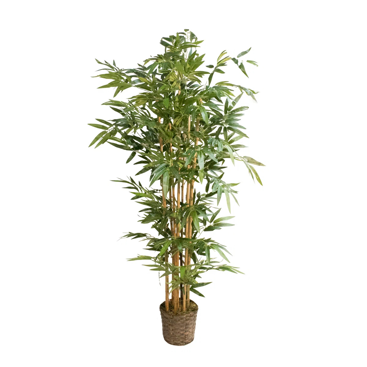 Faux Bamboo Plant
