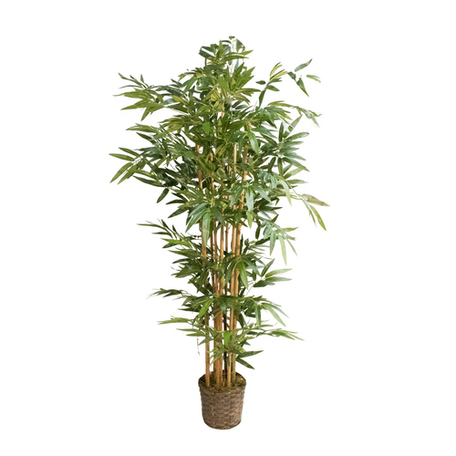 Faux Bamboo Plant