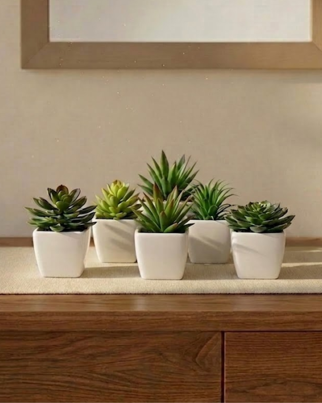 Faux Mini Succulents (Set of 6)