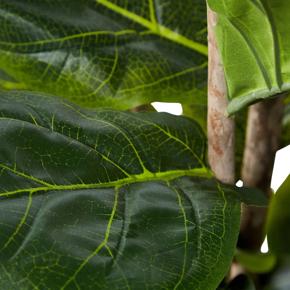 Faux Fiddle Leaf Fig