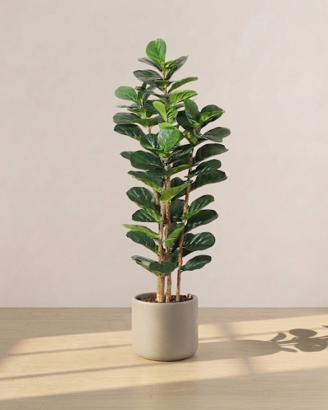 Faux Fiddle Leaf Fig