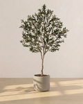 Faux Olive Tree